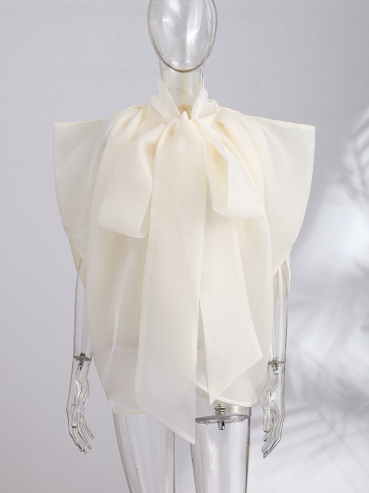 Top de Moda para Mujer, Sin Ma - Wrap Blouse Chiffon reseña y precio