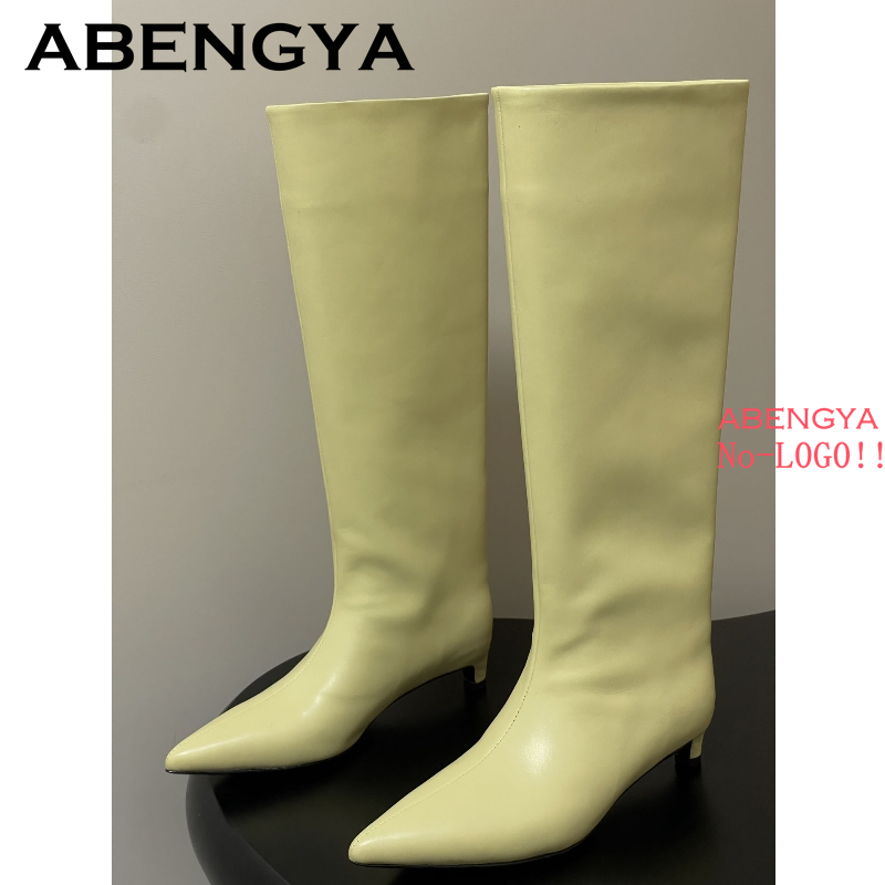 2025 Otoño Invierno tacones de - Women'S Fashion Boots 2025 reseña y precio